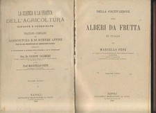 DELLA COLTIVAZIONE DI ALBERI