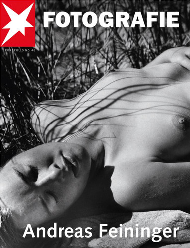 Stern fotografie - stern, –