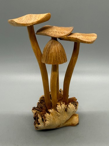 Decorazione fungo legno - in,