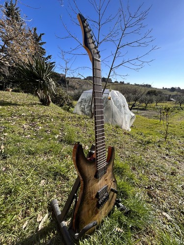 Chitarra elettrica corde - chitarra,