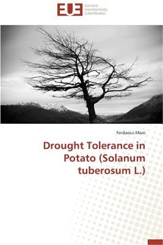 Drought tolerance potato - drought,