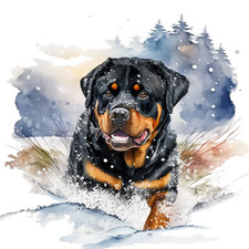 Adesivo auto cane gigante XXXL