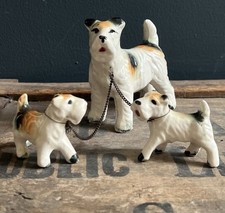 Kitsch Fox Terrier cane