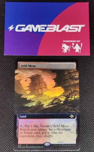 Mtg arid mesa foil borderless - arid, *foil