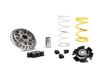 Variatore Malossi Multivar