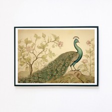 Pavone uccellino botanico