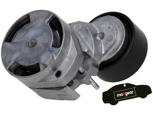 Tendicinghia cinghia per ford - tendicinghia,