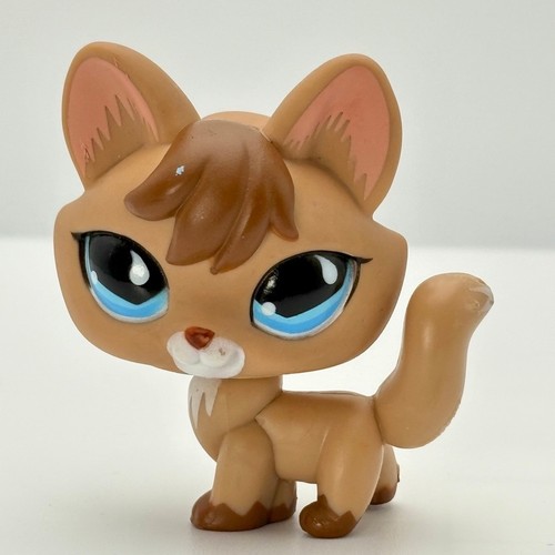 Littlest pet shop 673 fox - shop,