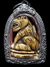 RARO POTENTE! Dente di tigre