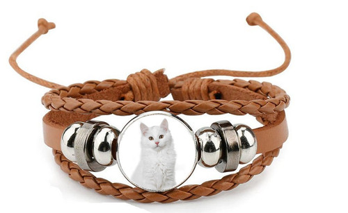 Siberian white cat - cat, brown
