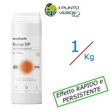 Newpharm INSETTICIDA POLVERE TERRENO BLUCYP DP 1 KG insetti terricoli larve