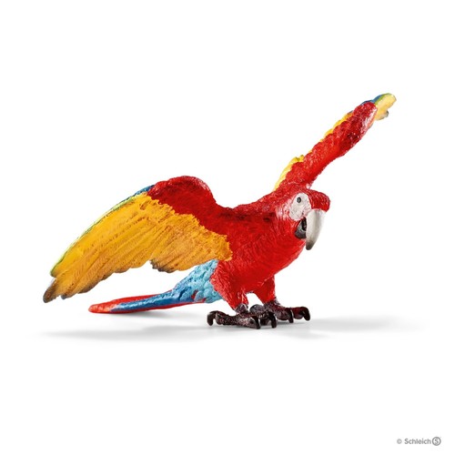 Pappagallo ara macaw wild life - ara,