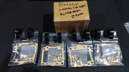 Kawasaki revisione gallegianti - revisione,