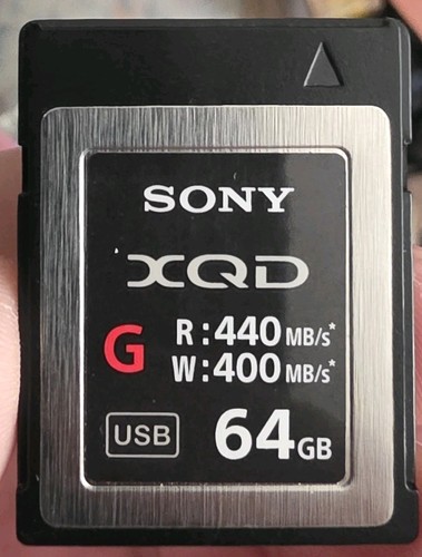 Sony xqd serie 64gb scheda - sony,