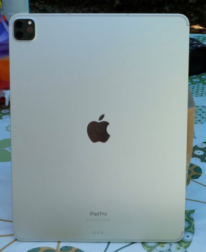 Apple ipad pro pouces 6 - apple,