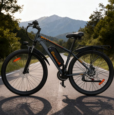 Bicicletta Elettrica 1000W 29