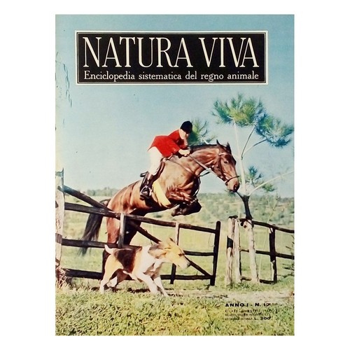 Natura viva anno - n, 23