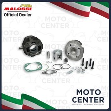 GRUPPO TERMICO MALOSSI GHISA