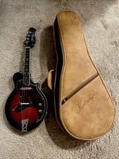 Kentucky KM-300E Mandolino