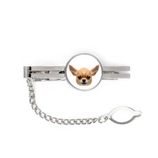 Chihuahua a pelo corto spina