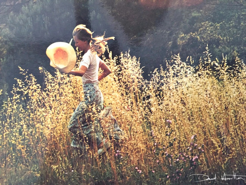 Carte postale david hamilton - carte,