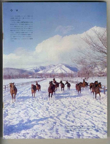 E28701972 the great - the,