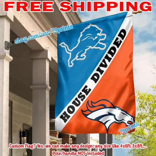 Bandiera divisa detroit lions - bandiera,