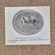 Emblema Toro dionisiaco corniola bianca firma artista Hyllus Stampa del 1900