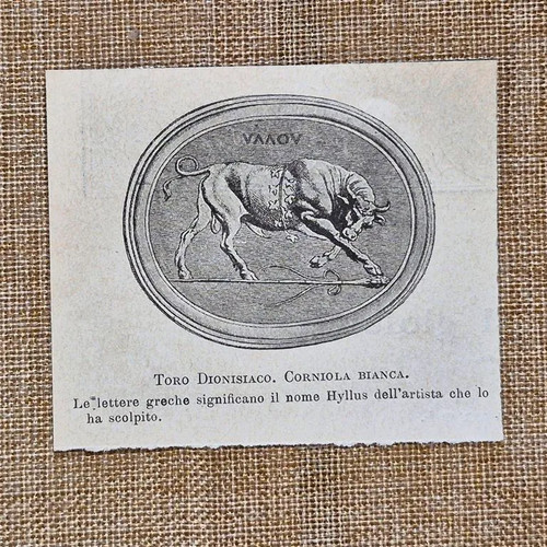 Emblema toro dionisiaco - toro,