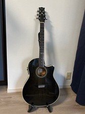 Chitarra acustica elettrica