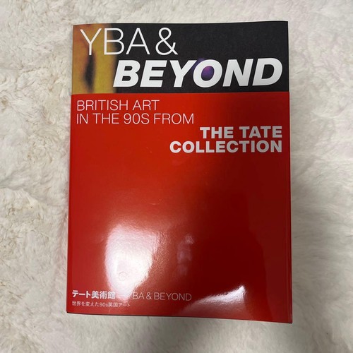 Yba beyond tate - beyond,