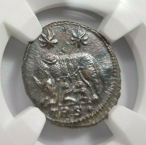 She wolf twins costantine ngc - she-wolf,