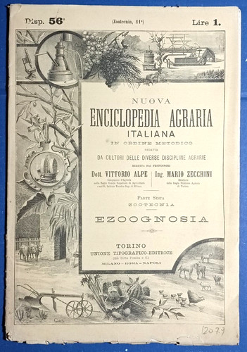 Ezognosia rivista - ezognosia,