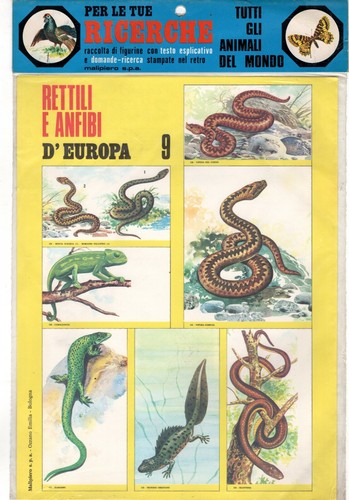 Set figurine blister animali - figurine,