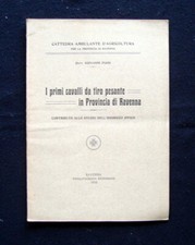 Piani Giovanni I primi cavalli da tiro Provincia Ravenna 1915 Studio Ippico