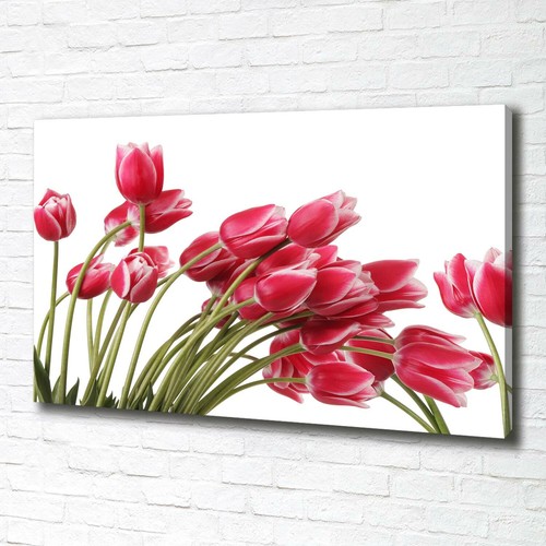 Tulup dipinto tela pittura - dipinto,