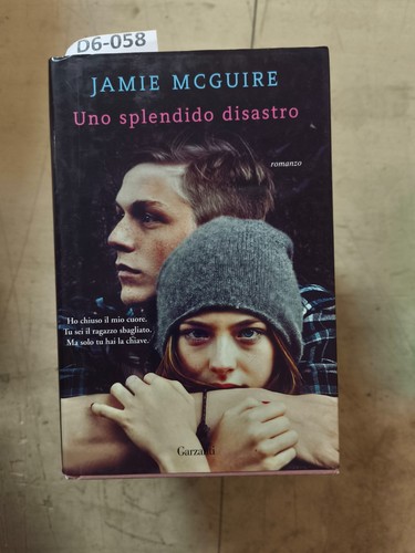 Uno splendido disastro - -, jamie