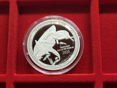 Silbermünze megalodon - silbermünze,
