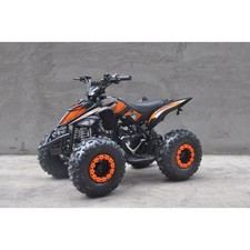 QUAD 110 RAPTOR  RUOTE 7