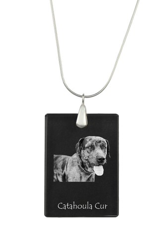 Catahoula leopard dog - leopard,