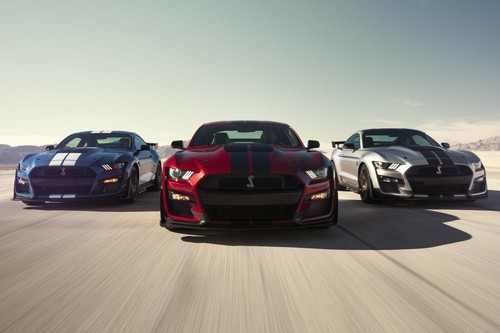 Ford shelby mustang gt500 - shelby,