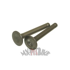 Valvole di Scarico Aspirazione Motore per Pit Bike Kurz Racing FS65,VMX 60cc Pit Bike