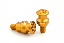 EVOTECH NOTTOLINI CAVALLETTO