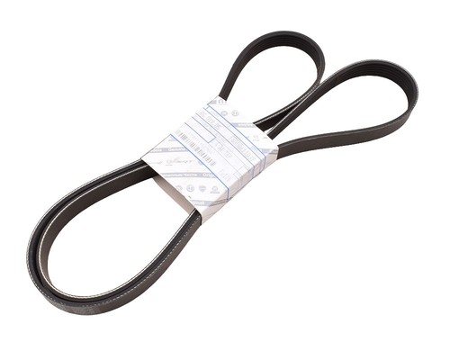 Cinghia trapezoidale fiat - cinghia,
