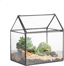 Terrario in Vetro a Forma