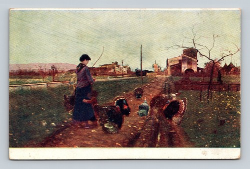 Ludovico tommasi pesce - tommasi, "il