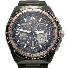 Citizen Promaster SKY