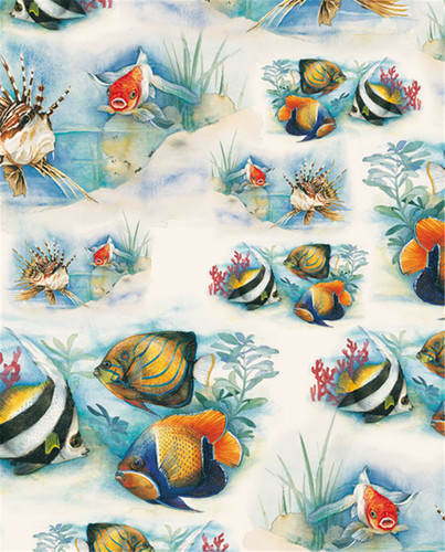 Carta regalo 70x100 - carta,