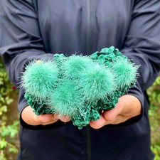 Zeolite di tarassaco indiano