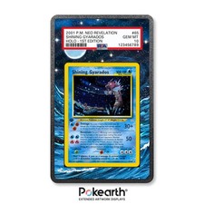 Shining Gyarados 65/64 - Case